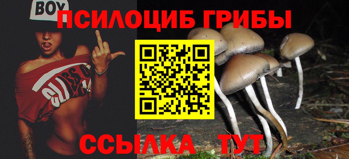 Керчь  где купить наркоту  Вход с VPN  Псилоцибиновые грибы прущие грибы 
