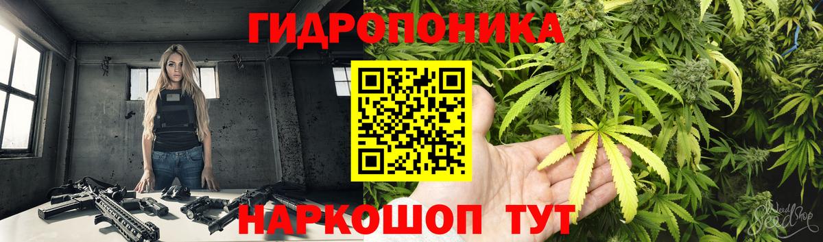 Конопля тримм  Шишки марихуана план  Вход с VPN  Керчь 
